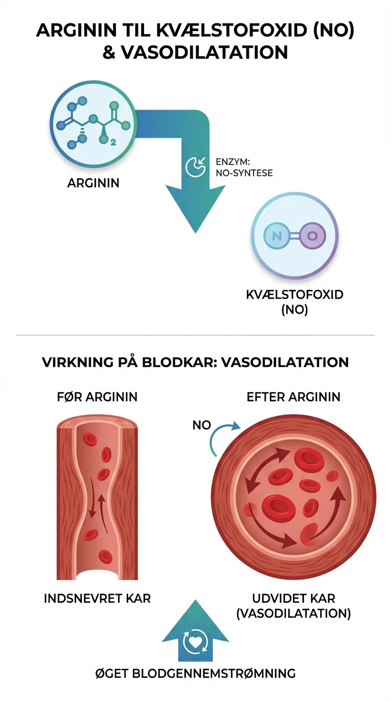 Infografik