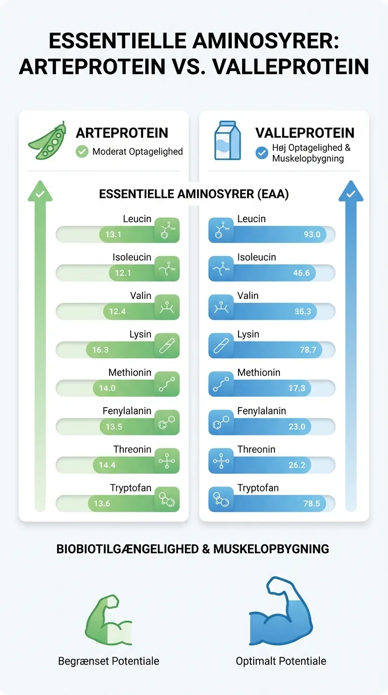 Infografik
