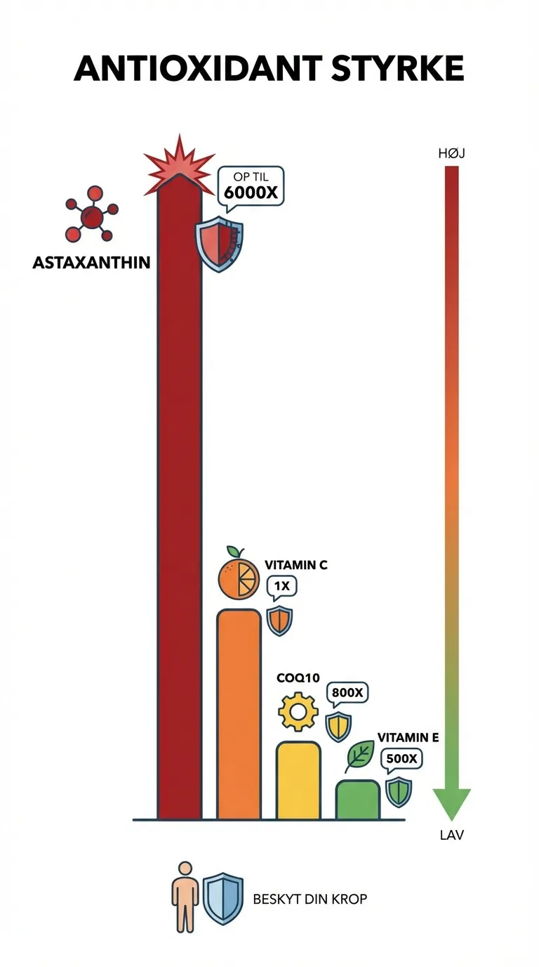 Infografik