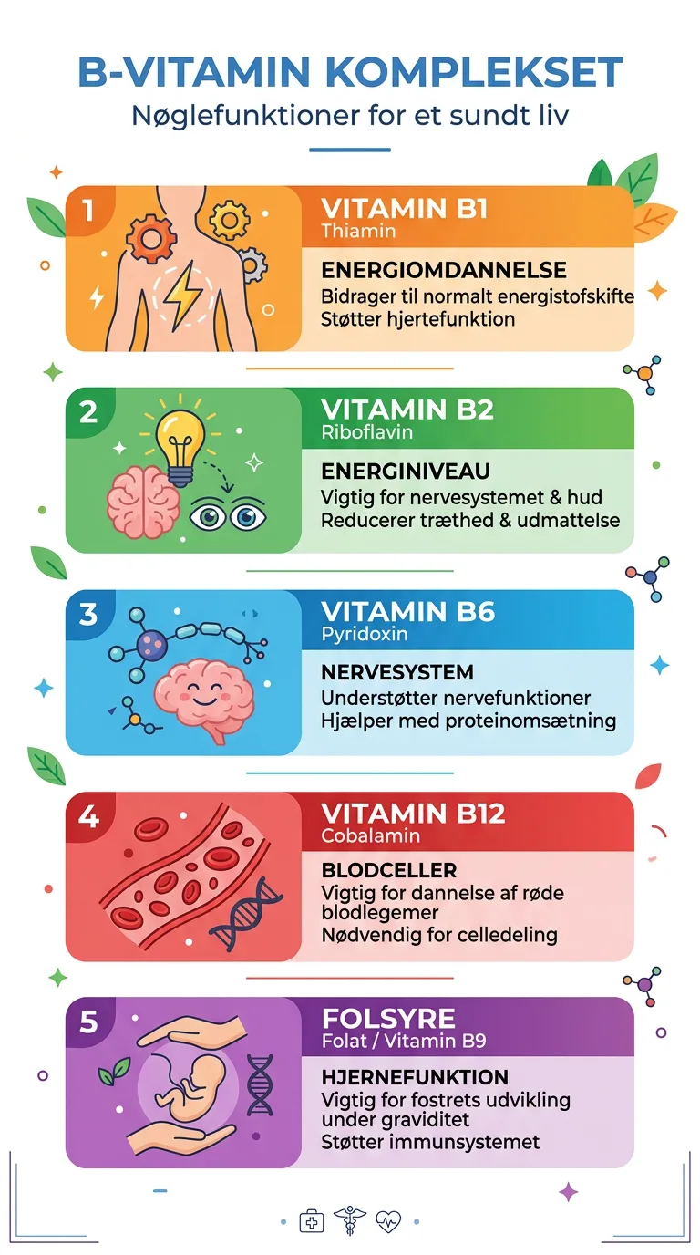 Infografik