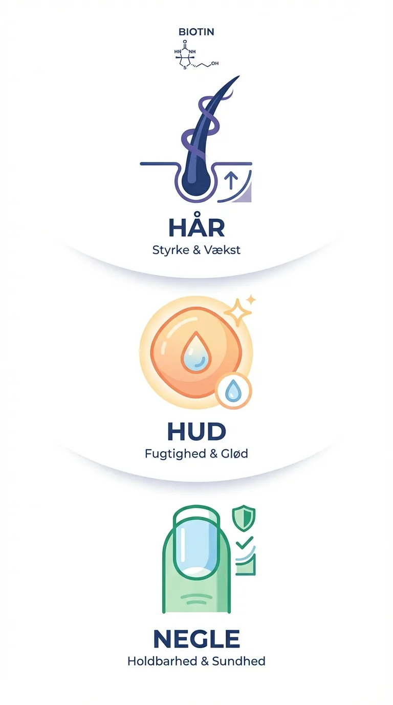 Infografik over biotin-valg
