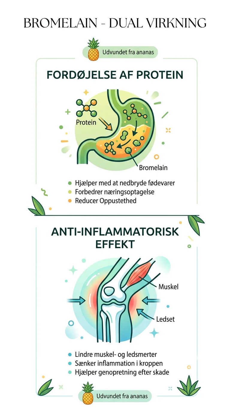 Infografik