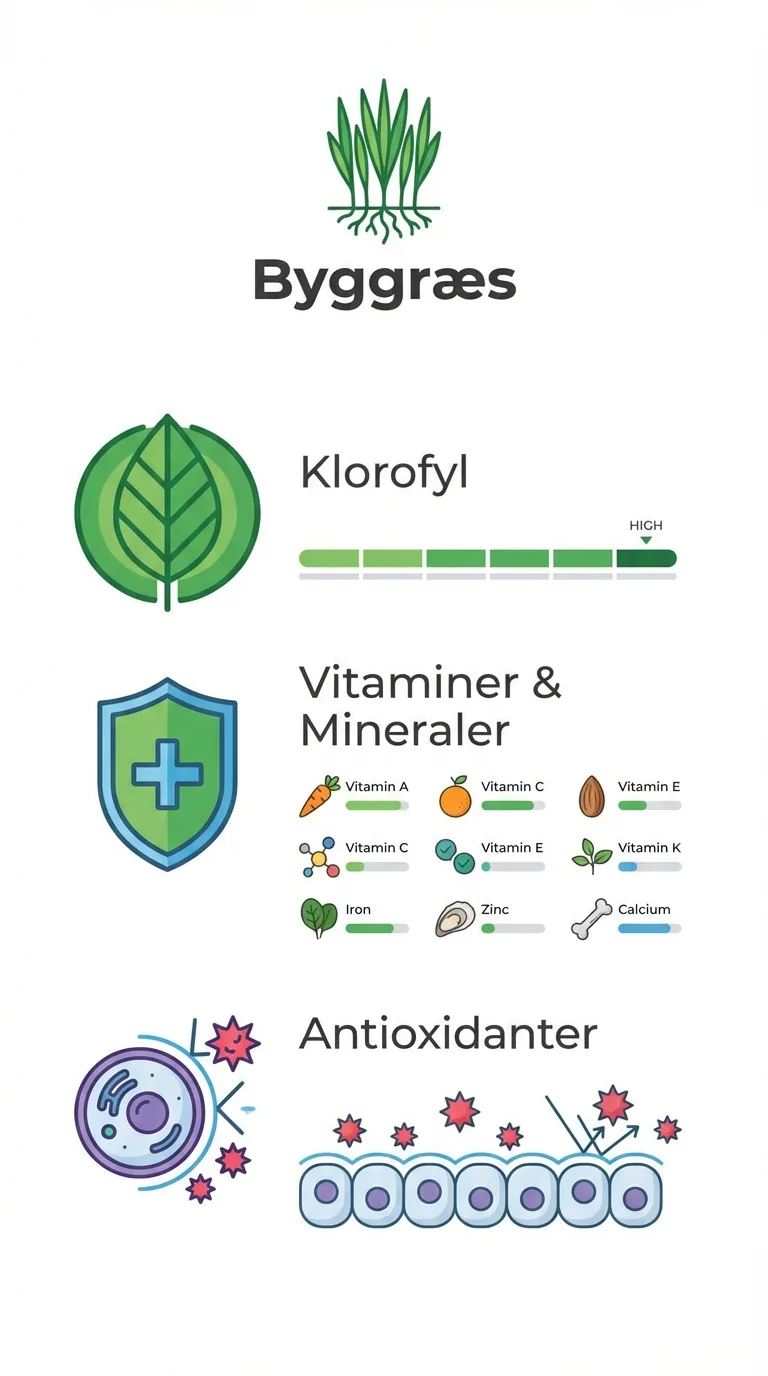 Infografik