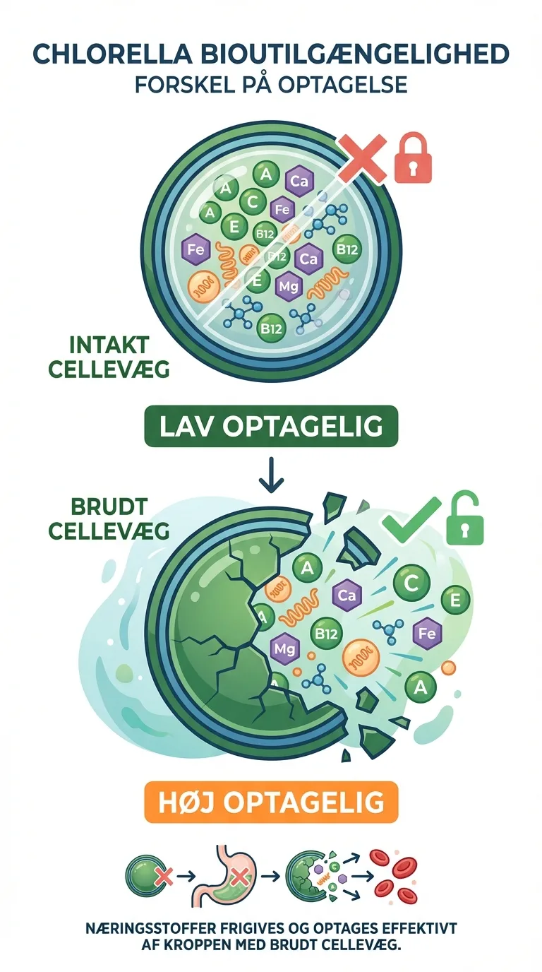 Infografik