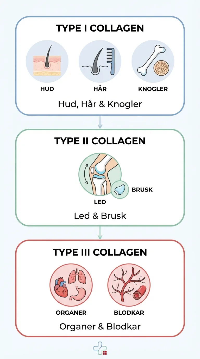 Infografik