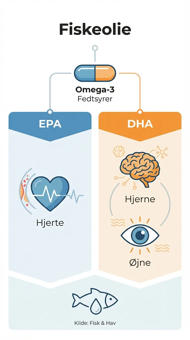 Infografik