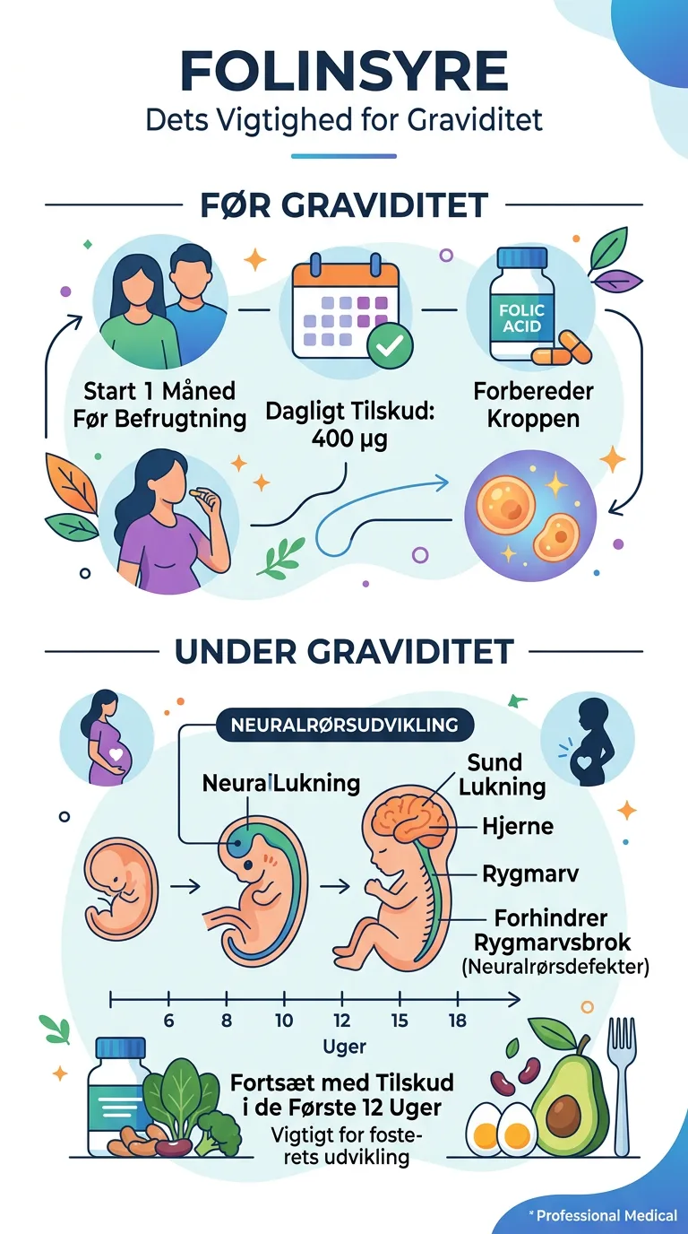 Infografik