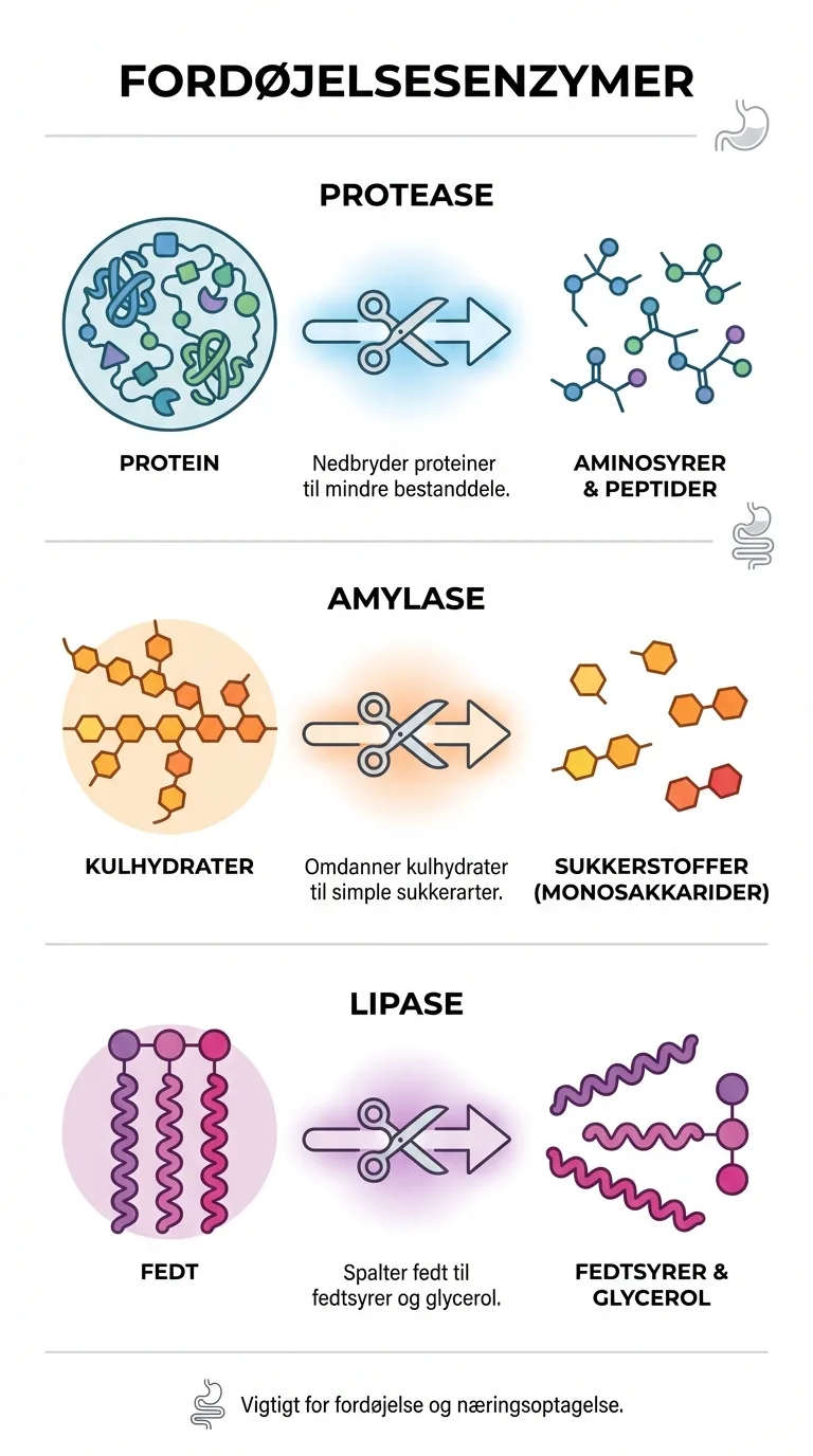 Infografik