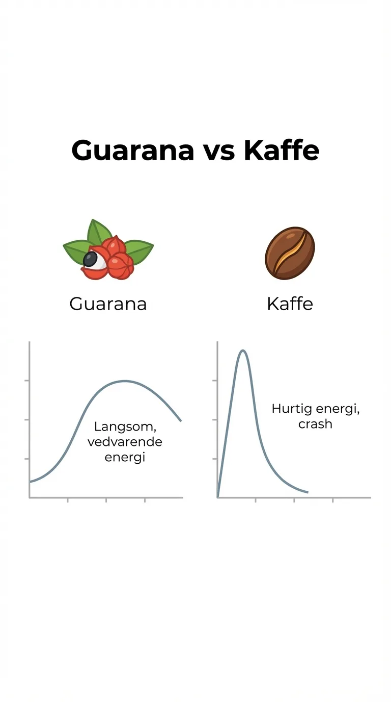 Infografik