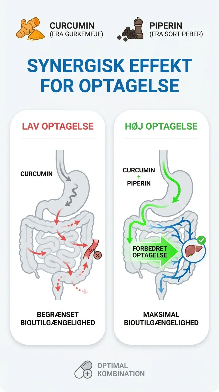 Infografik