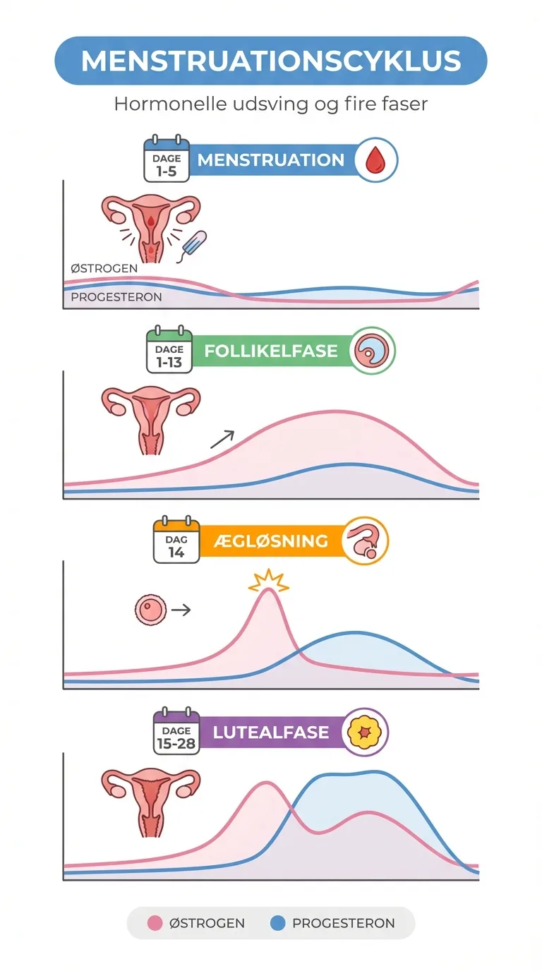Infografik