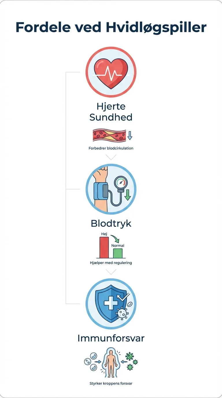 Infografik