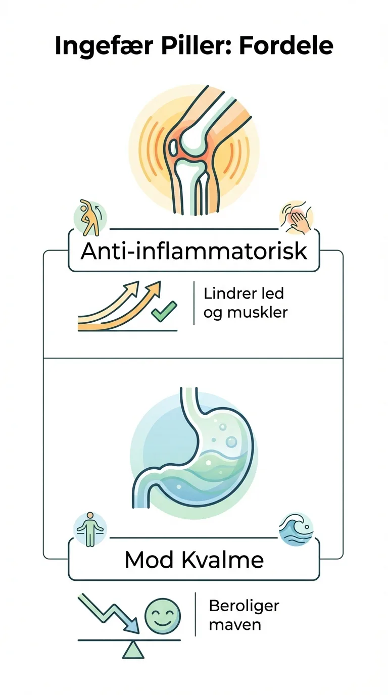 Infografik