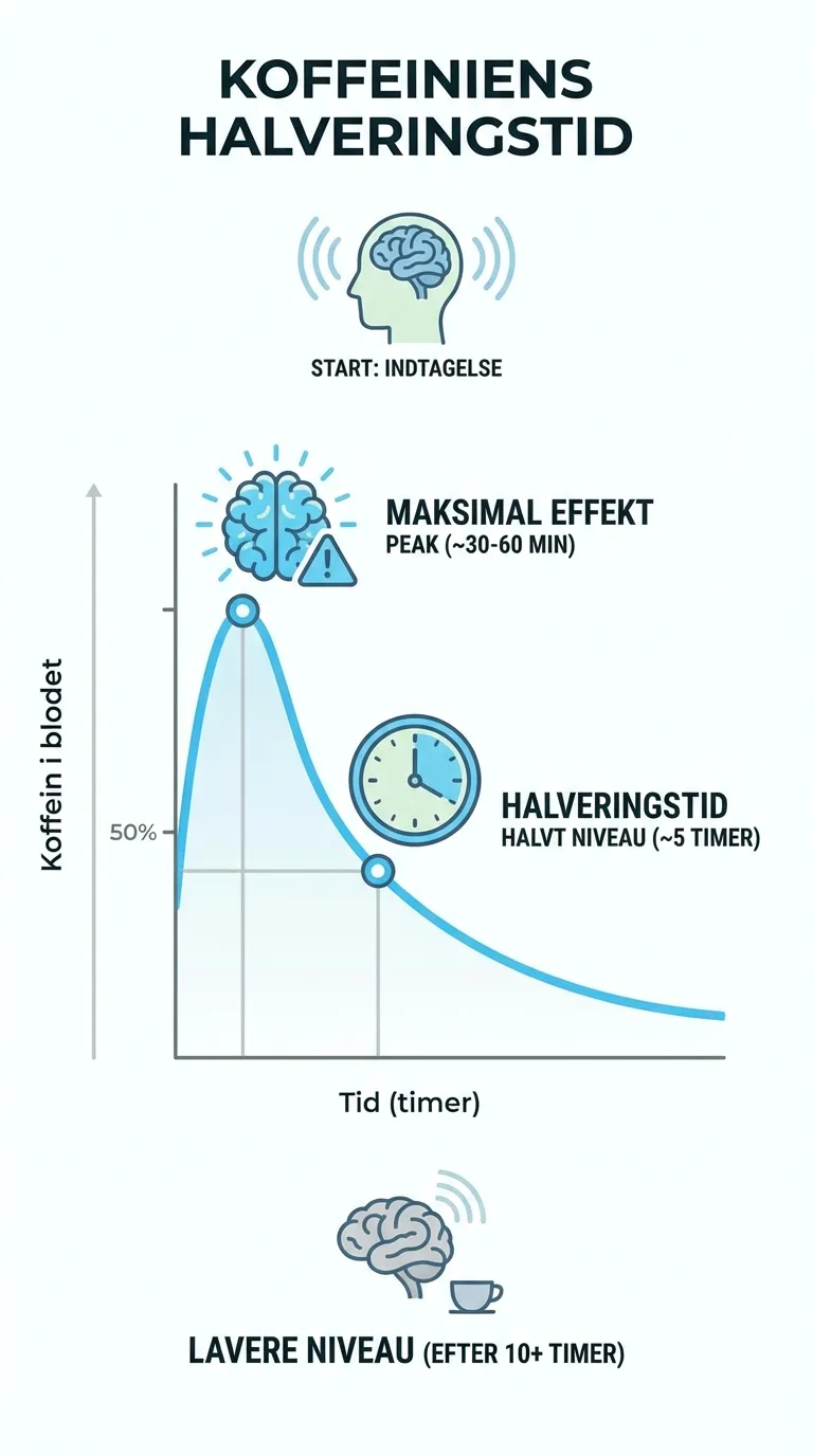 Infografik