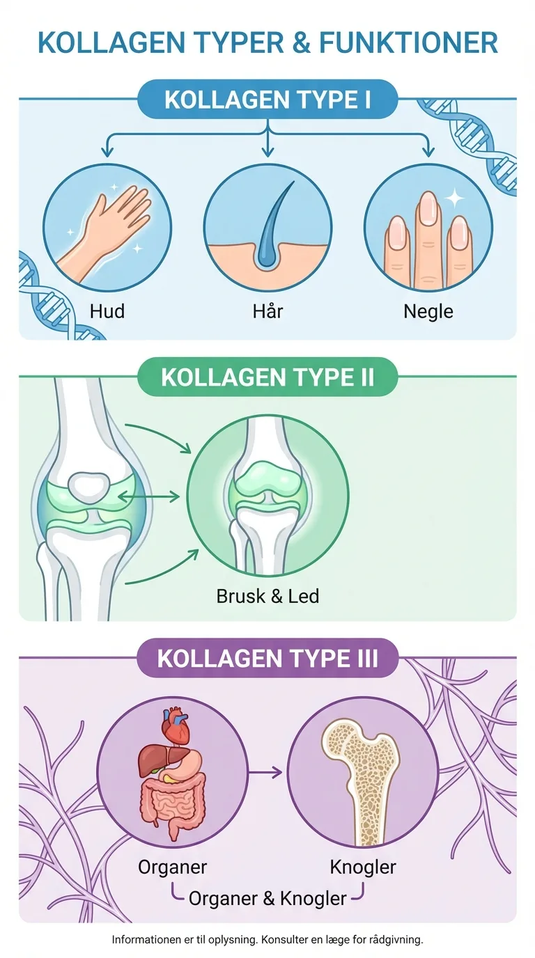 Infografik