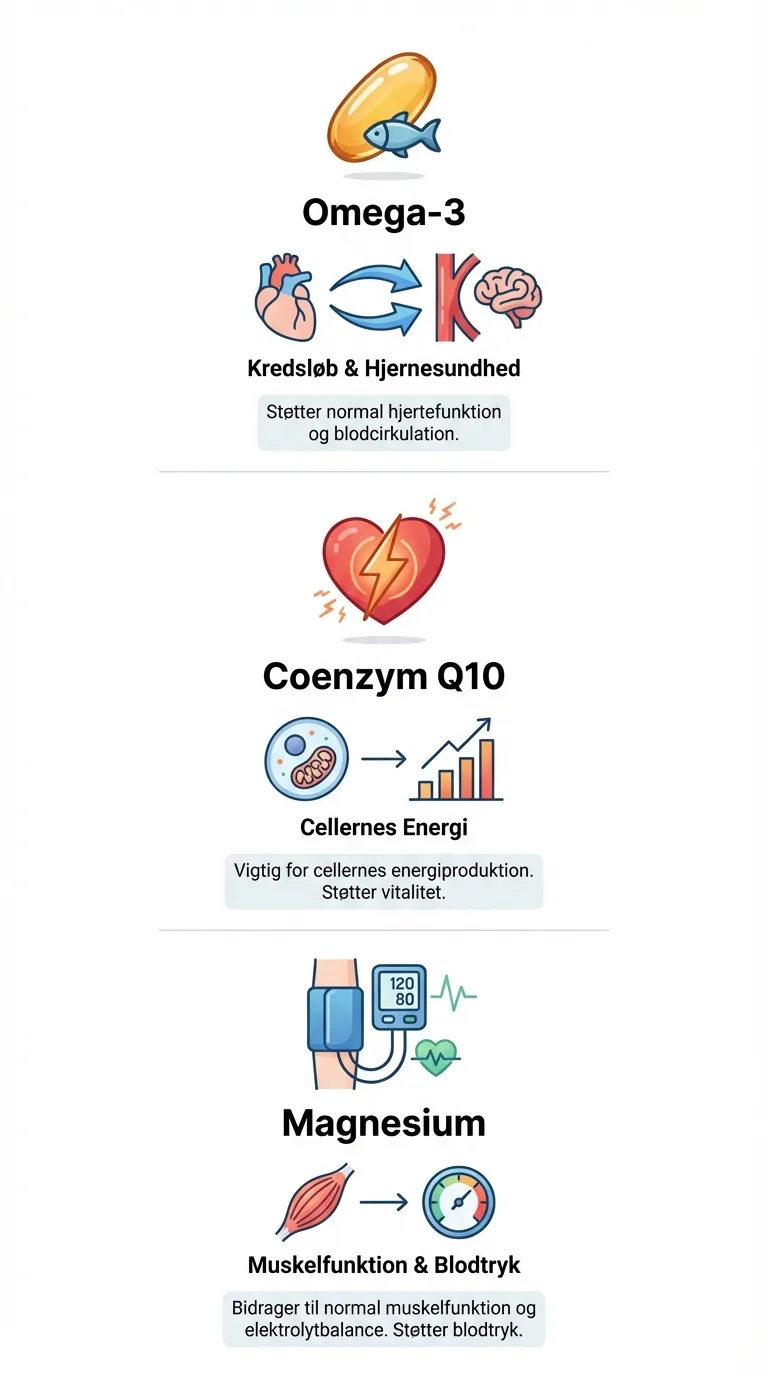 Infografik