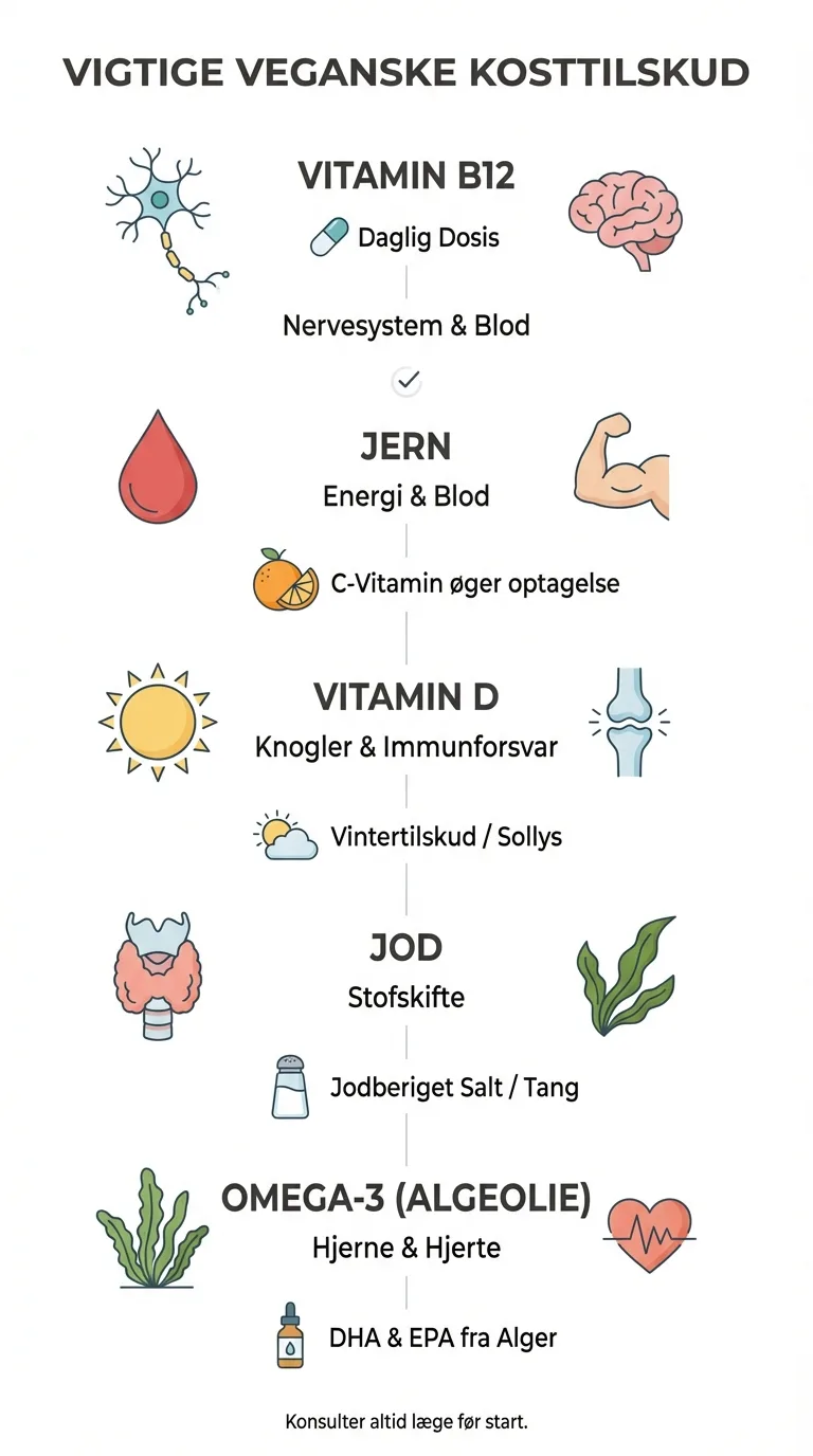 Infografik