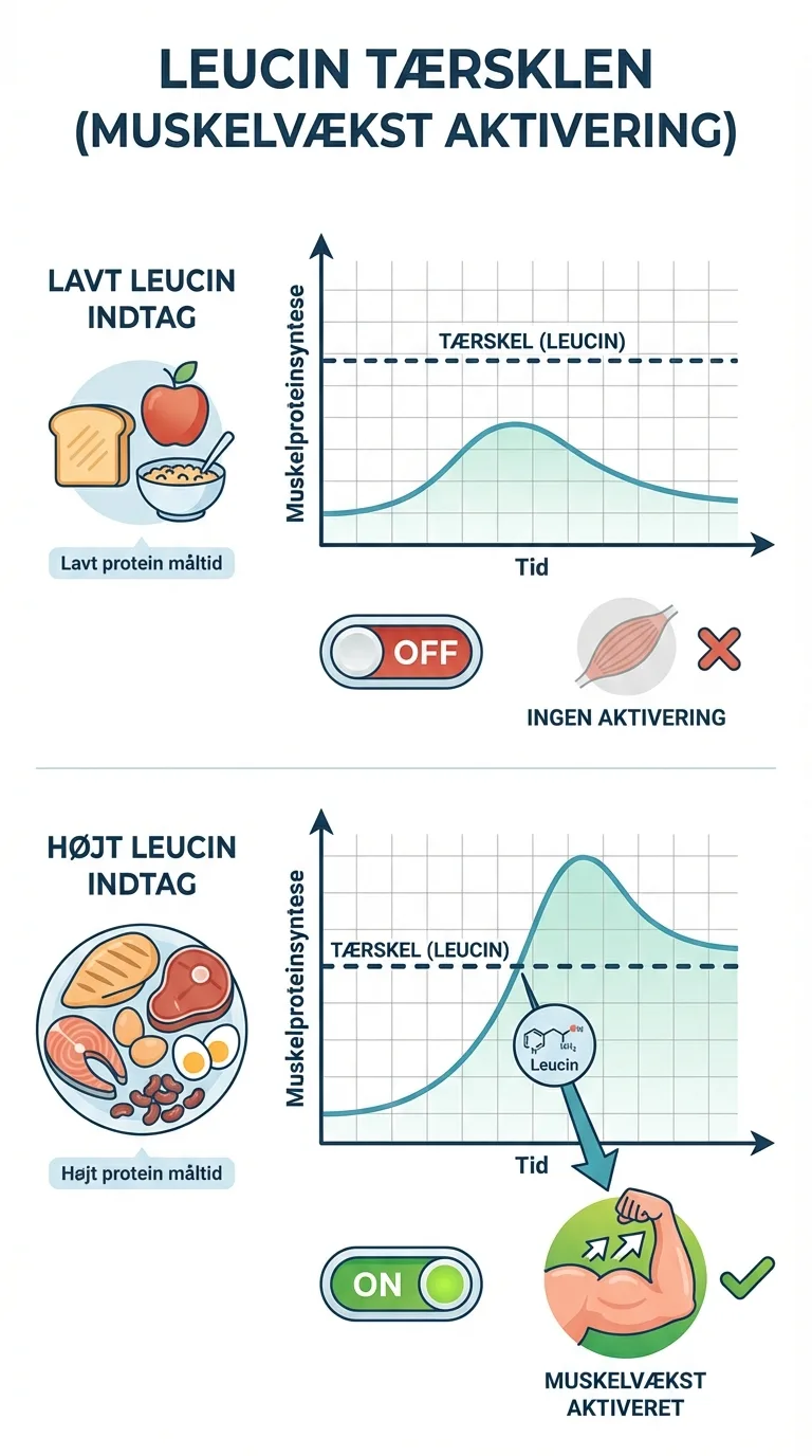 Infografik