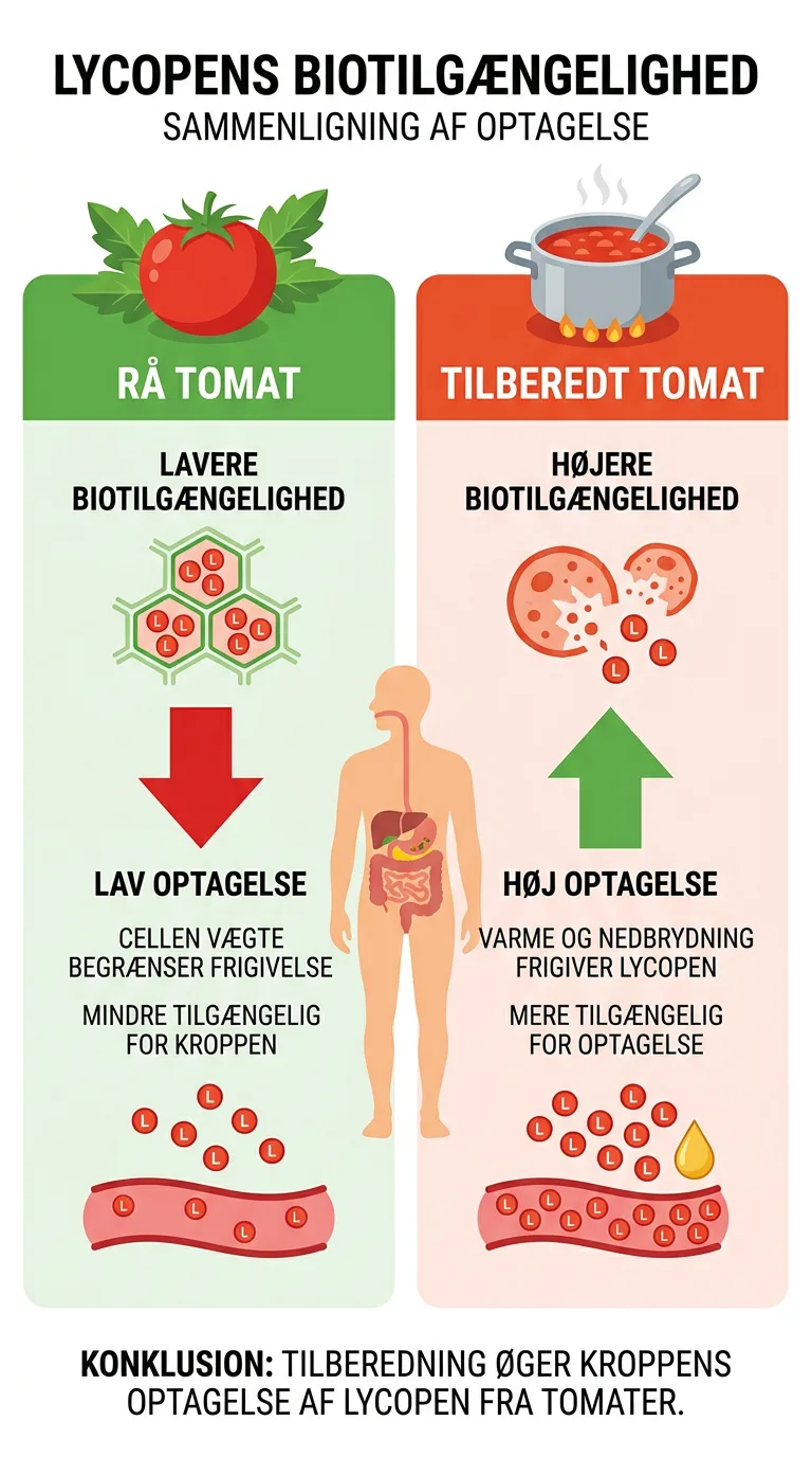Infografik