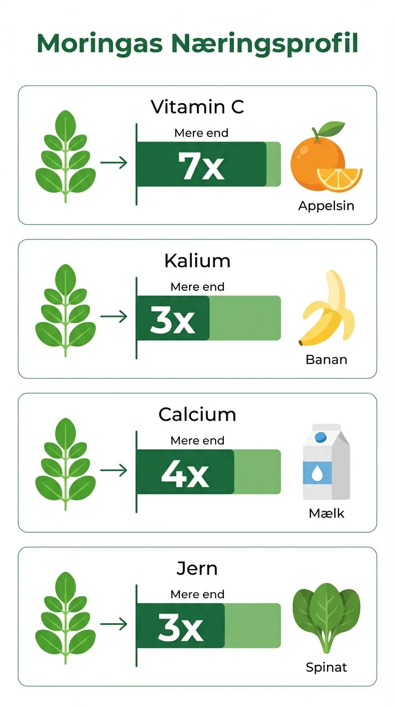 Infografik