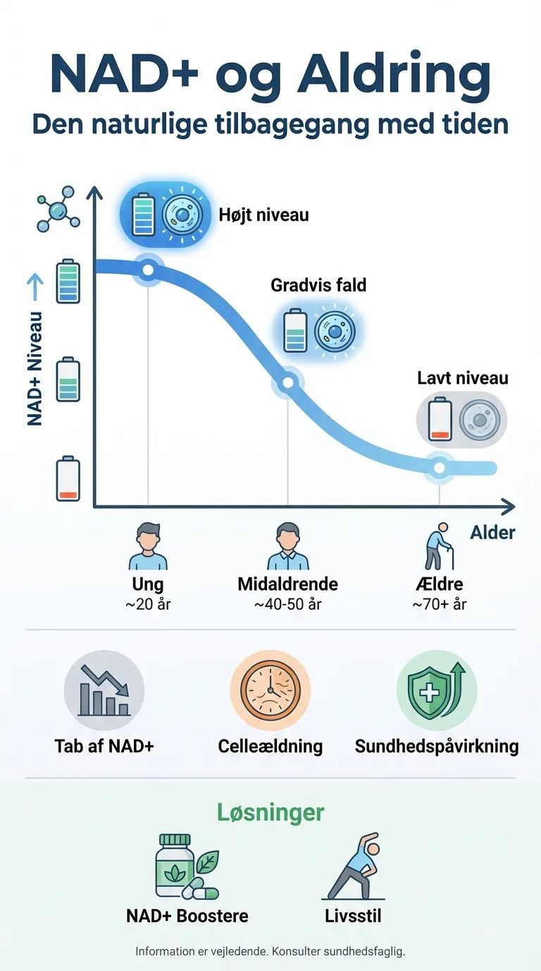 Infografik
