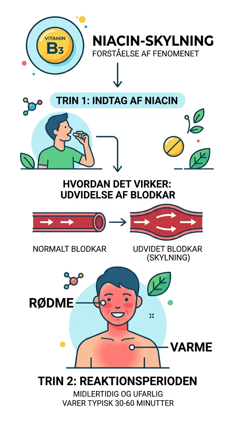 Infografik