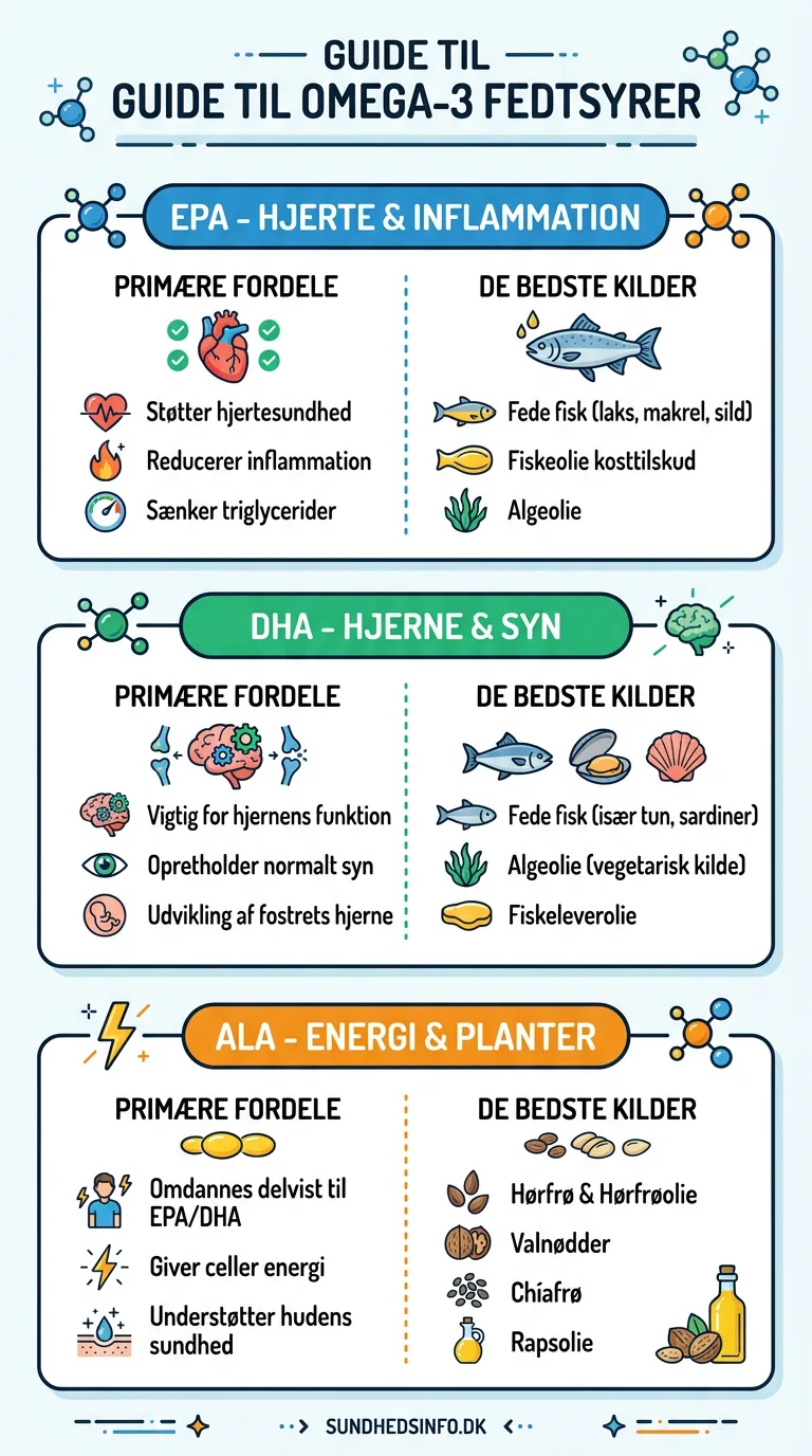Infografik