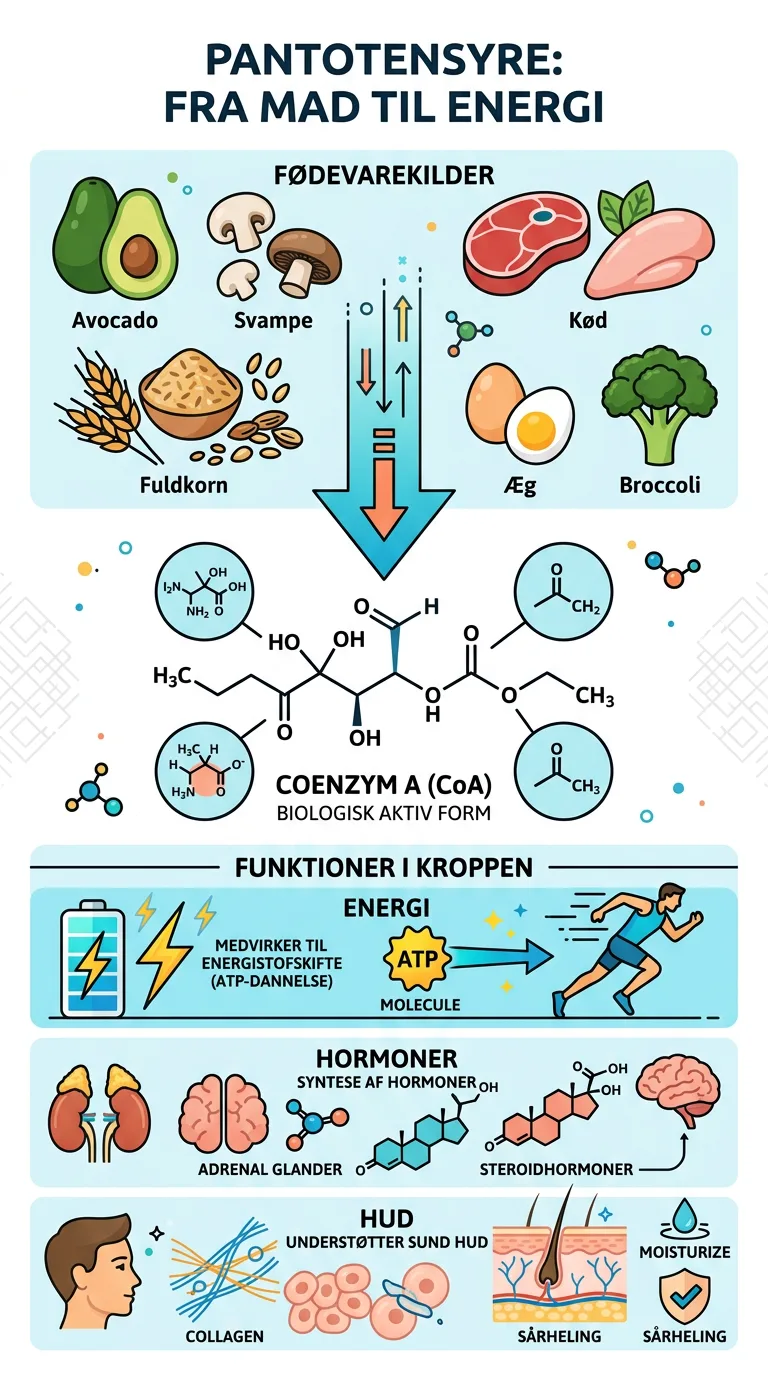 Infografik