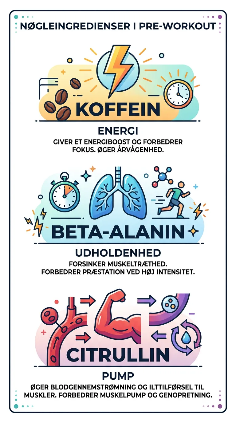 Infografik om pre-workout