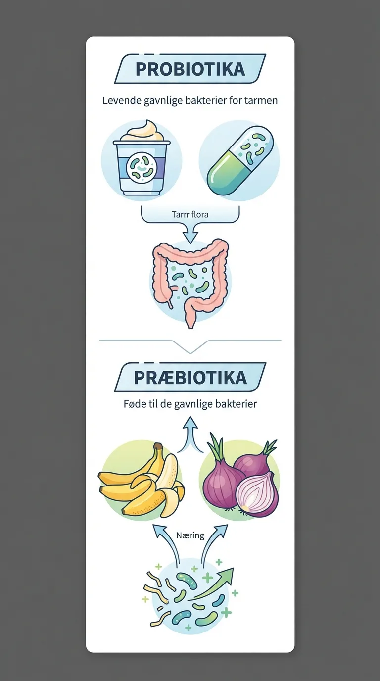 Infografik
