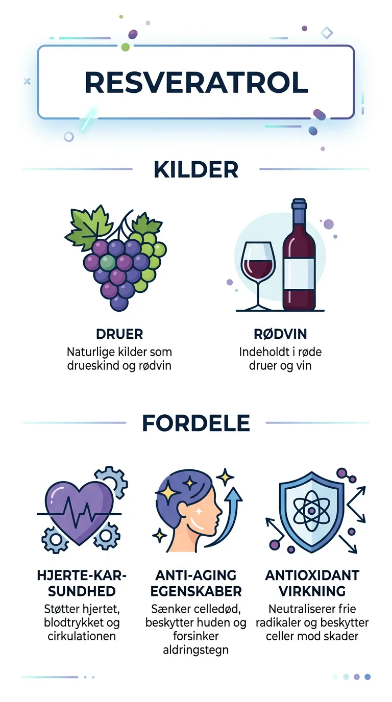 Infografik