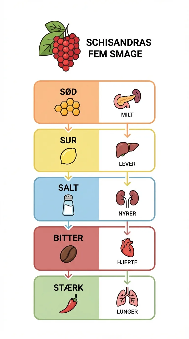 Infografik
