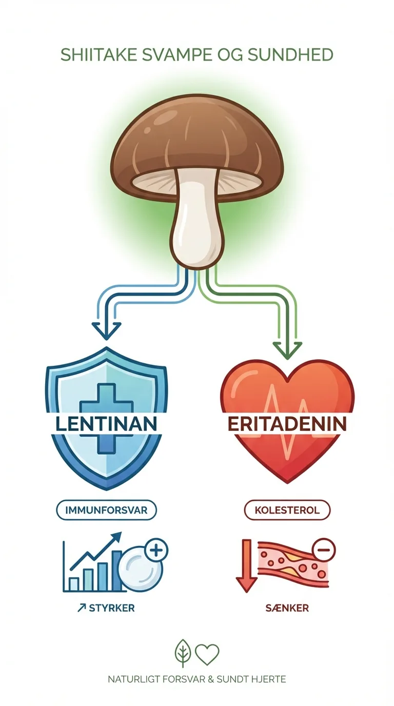 Infografik