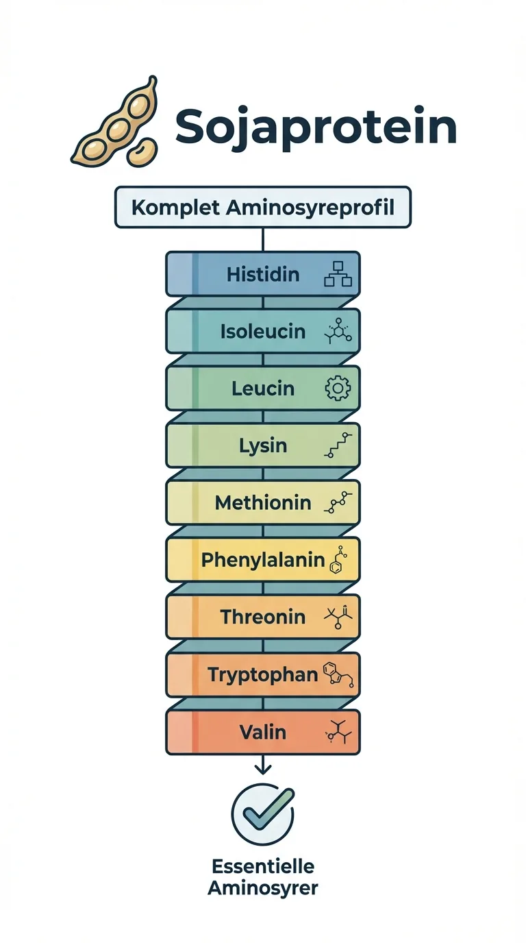 Infografik
