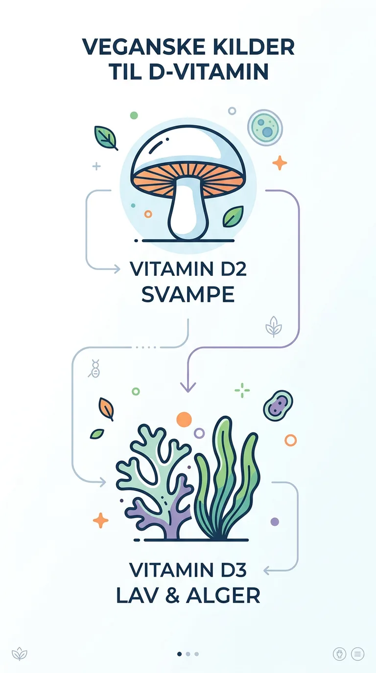 Infografik