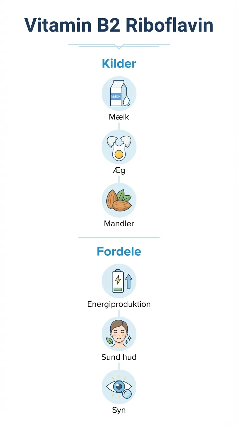 Infografik