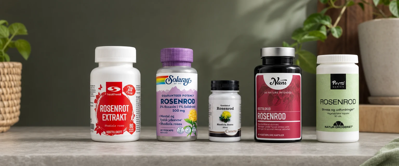 Rosenrod bedst i test 2026 til energi og stress 🌿
