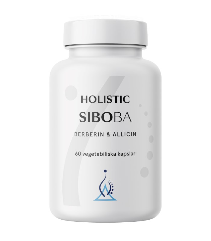 Holistic Siboba