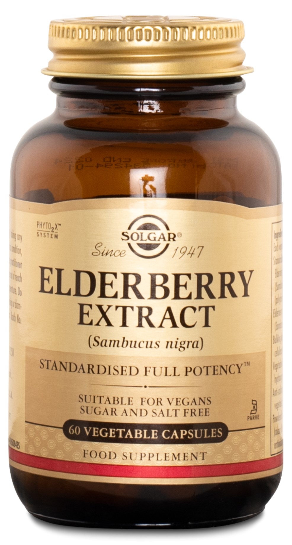 Solgar Elderberry